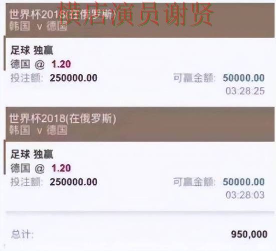 实测对比世界杯投注网站大全：从平台排行到使用全流程解析 - 世界杯全球总决赛